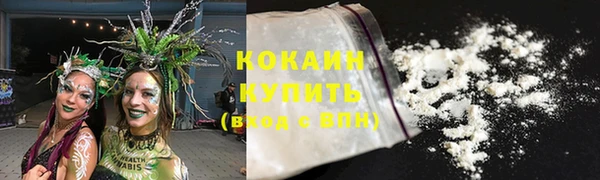 винт Верея